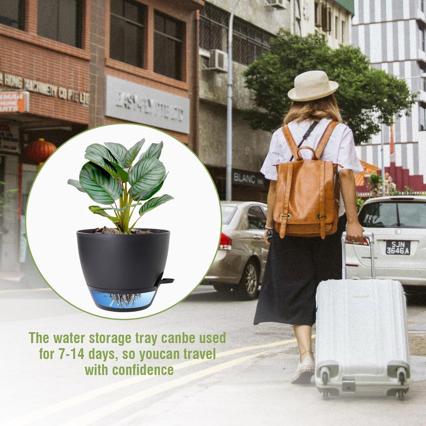 8 inch Self Watering Pots, 2 Pack Plastic Planters with Mesh Drainage Holes for Garden Plants and Flower, Plants Pots with Deep Reservoir for Indoor Outdoor Plants, Black