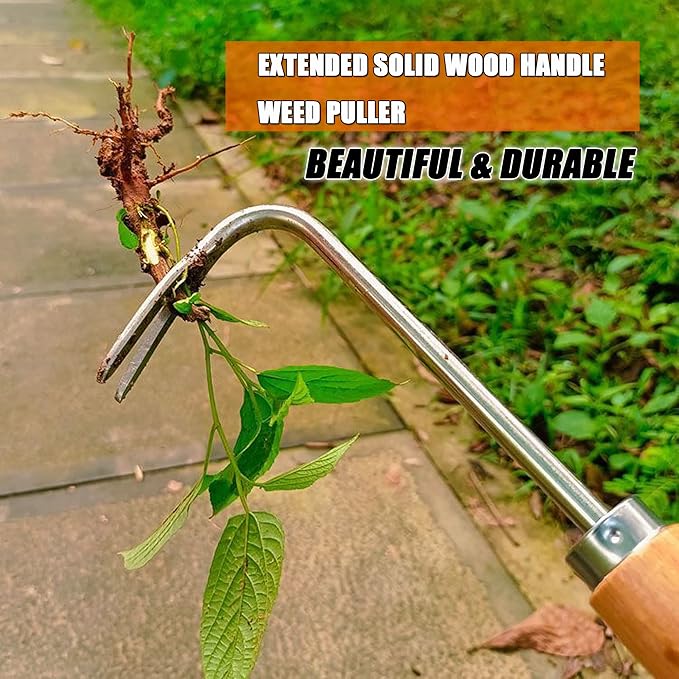 SHANFEEK Weed Puller Weeding Artifact Uprooting Weeding Tool Gardening Hand Tools 16-Inch Weed Remover Tool for Yard with Extended Hard Solid Wood Handle(V-Type)