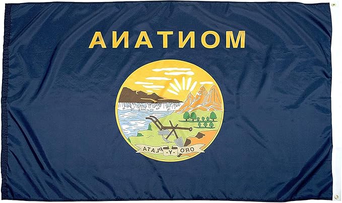 FlagSource Montana Nylon State Flag, Made in USA, 5x8'