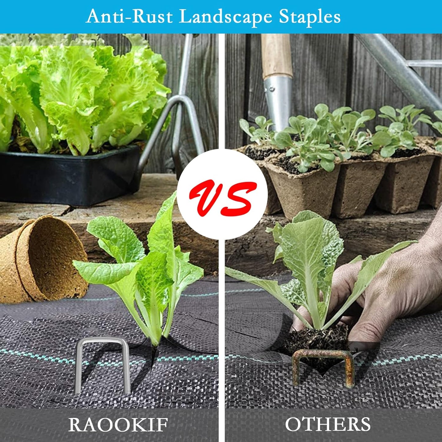 RAOOKIF 8 Inch Galvanized Garden Landscape Staples, 20/50/100/200Pcs Garden Metal Stakes, 11 Gauge Heavy Duty Ground Stakes for Decoration, Fence, Lawn, Fabric Pins