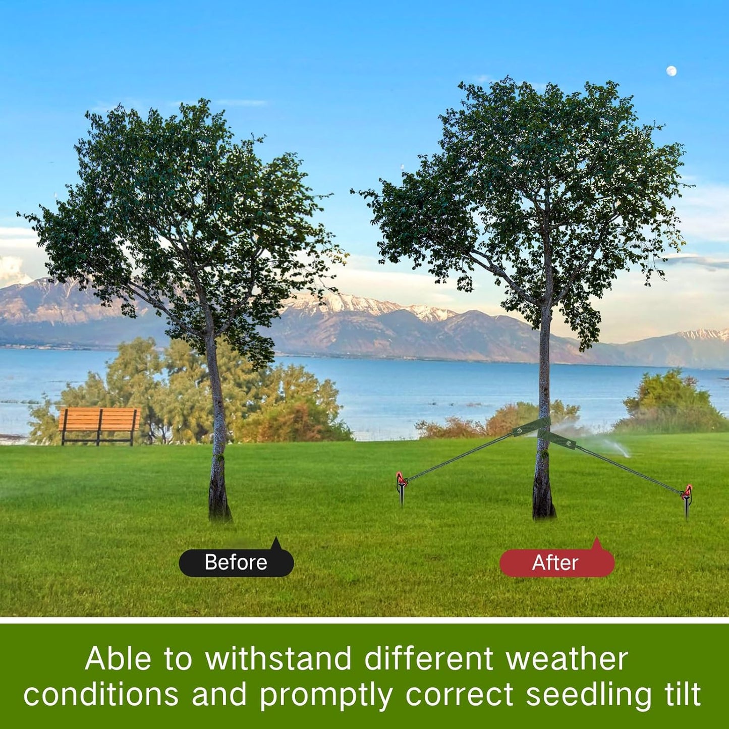 Sintuff 9 Set Heavy Duty Tree Stake Kit 15.75 Inches/ 40 cm Tree Straps for Staking and 13.12 ft/ 4 m Dock Lines Rope for Support Anchoring Home Leaning Plant Straightening Garden Tent (Army Green)