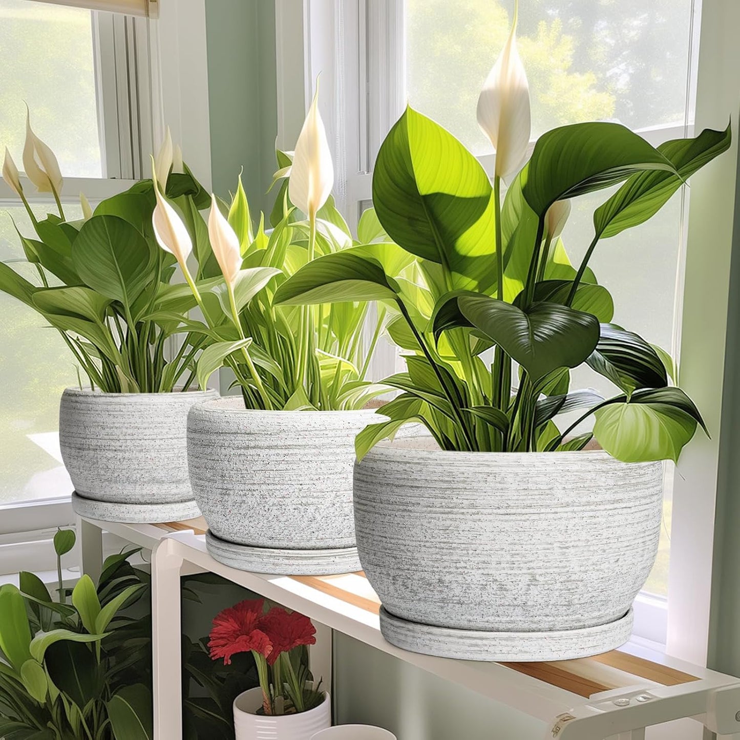 SQOWL Ceramic Flower Pots - 10 Inch Plant Pot Indoor with Drainage Hole and Saucer, Modern Ceramic Planter Outdoor, Decorative Large Round Planter, Bedroom Decor, Plant Lovers Gifts, Gray