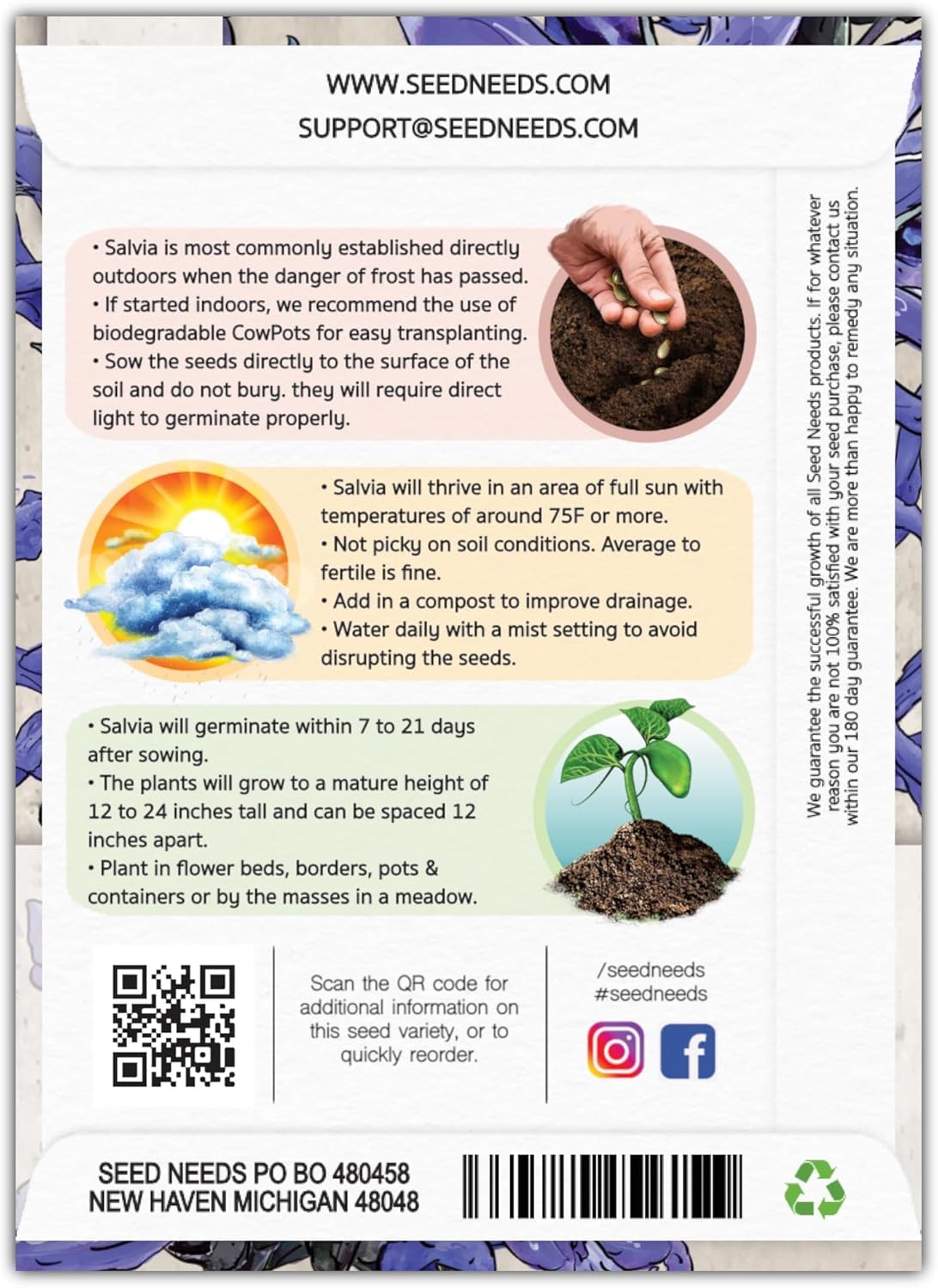 Seed Needs Sapphire Blue Sage Seeds for Planting - Heirloom & Open Pollinated Salvia - Grow a Butterfly Garden with Perennial Flowering Plants (2 Packs)