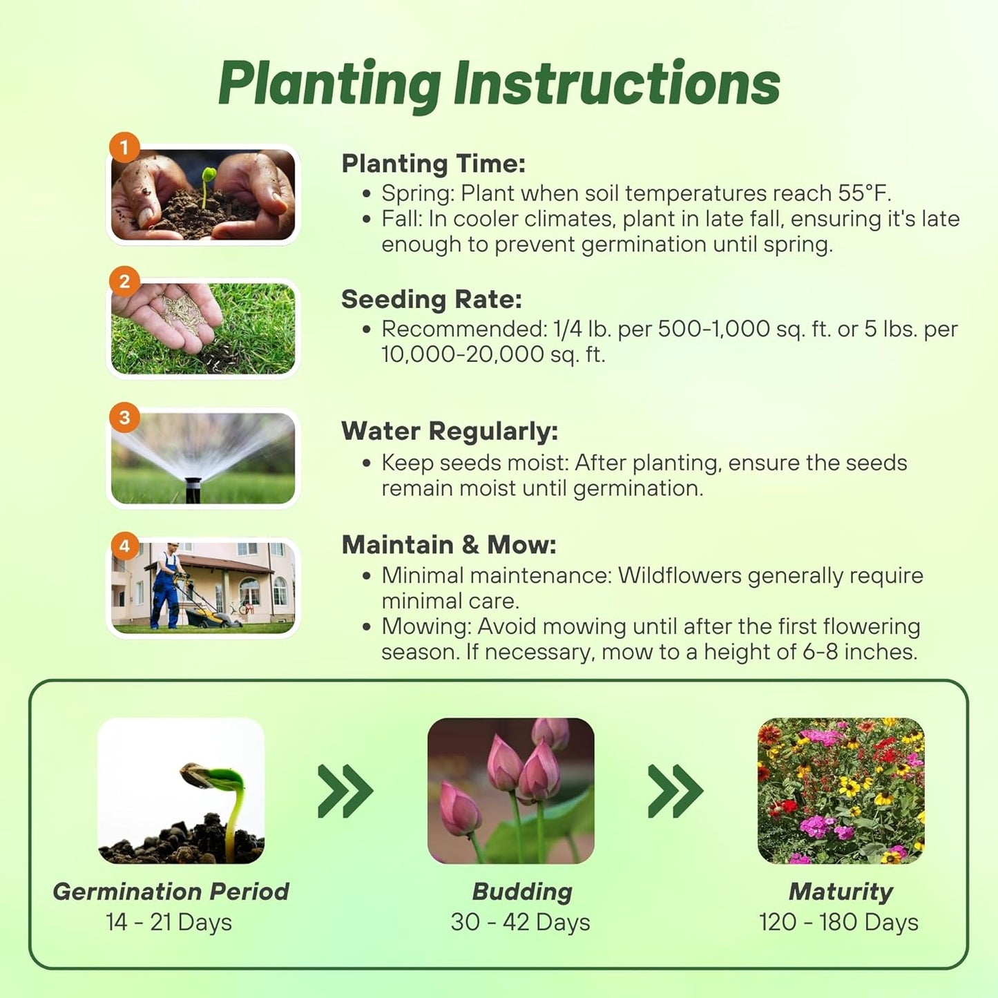 Outsidepride Southeast Wildflower Seed Mix - 1/4 lb Highly Adaptable, Easy to Grow, Low-Maintenance Mix of Annual & Perennial Wildflower Seeds for Natural Landscapes in Southeastern States