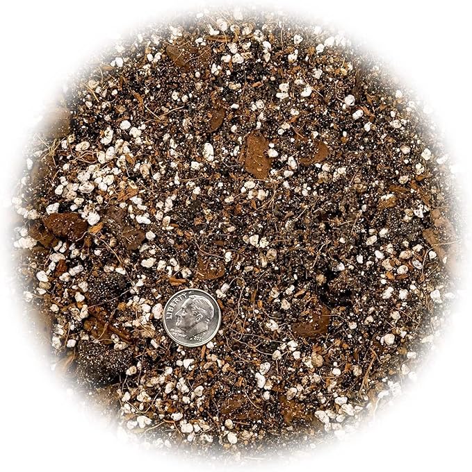 Banana Tree Potting Mix - Premium Quality Blend for Superior Banana Tree Health and Resilience - Promotes Strong Root Growth and Disease Resistance (4 Quart)