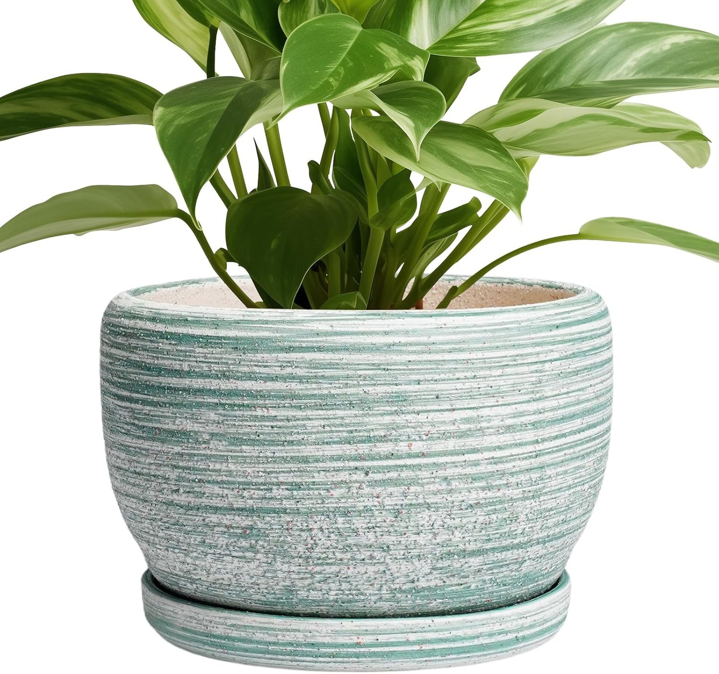 SQOWL Ceramic Planters for Indoor Plants - 8 inch Plant Pot Outdoor, Ceramic Flower Pot with Drainage Hole and Saucer, Round Modern Planter, Living Room Apartment Decor, Birthday Gifts, Green