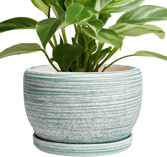 SQOWL Ceramic Planters for Indoor Plants - 8 inch Plant Pot Outdoor, Ceramic Flower Pot with Drainage Hole and Saucer, Round Modern Planter, Living Room Apartment Decor, Birthday Gifts, Green