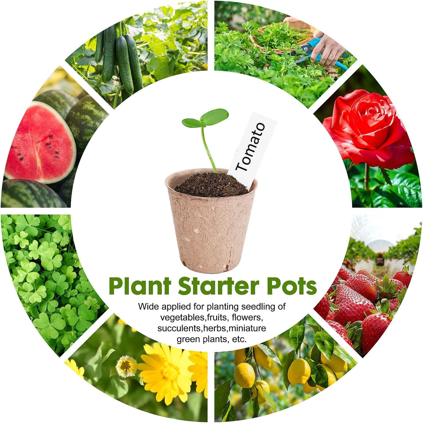 Peat Pots for Seedlings 3.15 Inch, Biodegradable Round Seed Starter Pots with 10 Plant Labels for Garden Germination, Nursery Pot with Drainage Holes (40 Pack/3.15 Inch)