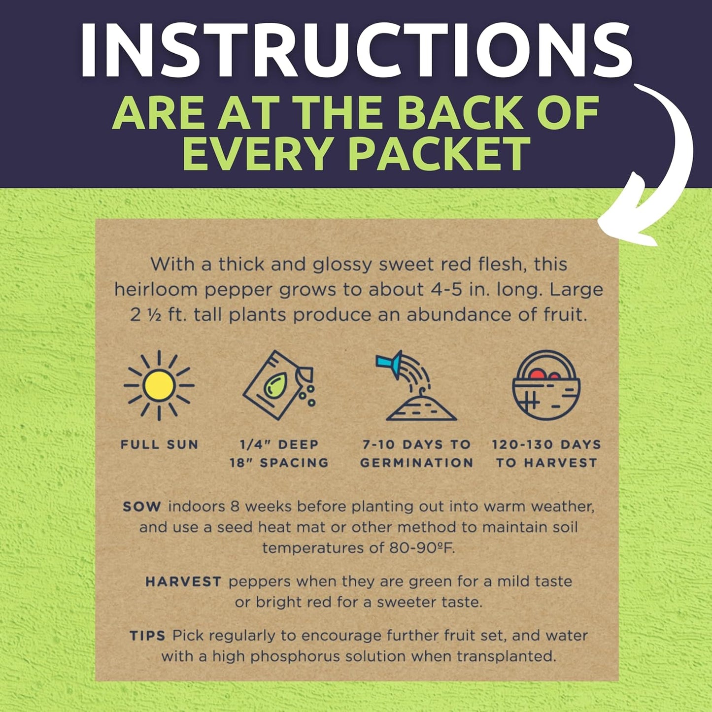 Organic Sweet Pepper Seeds Variety Pack - 6 Individual Packs - 2025 Season - Red, Orange, Yellow, Green and More! for Indoor & Outdoor Planting (Non-GMO, Certified Organic)