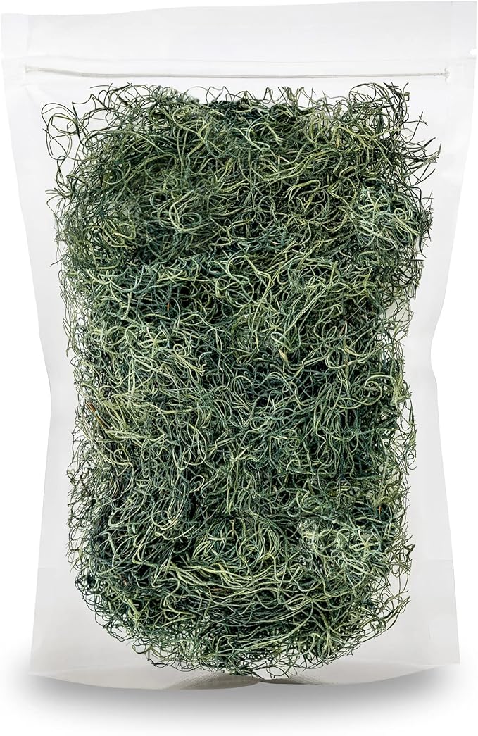 Premium Spanish Moss in Basil| Natural Preserved - Great Ground Cover - Filler for Potted Plants - by GARDENERA - 2 Quart Bag