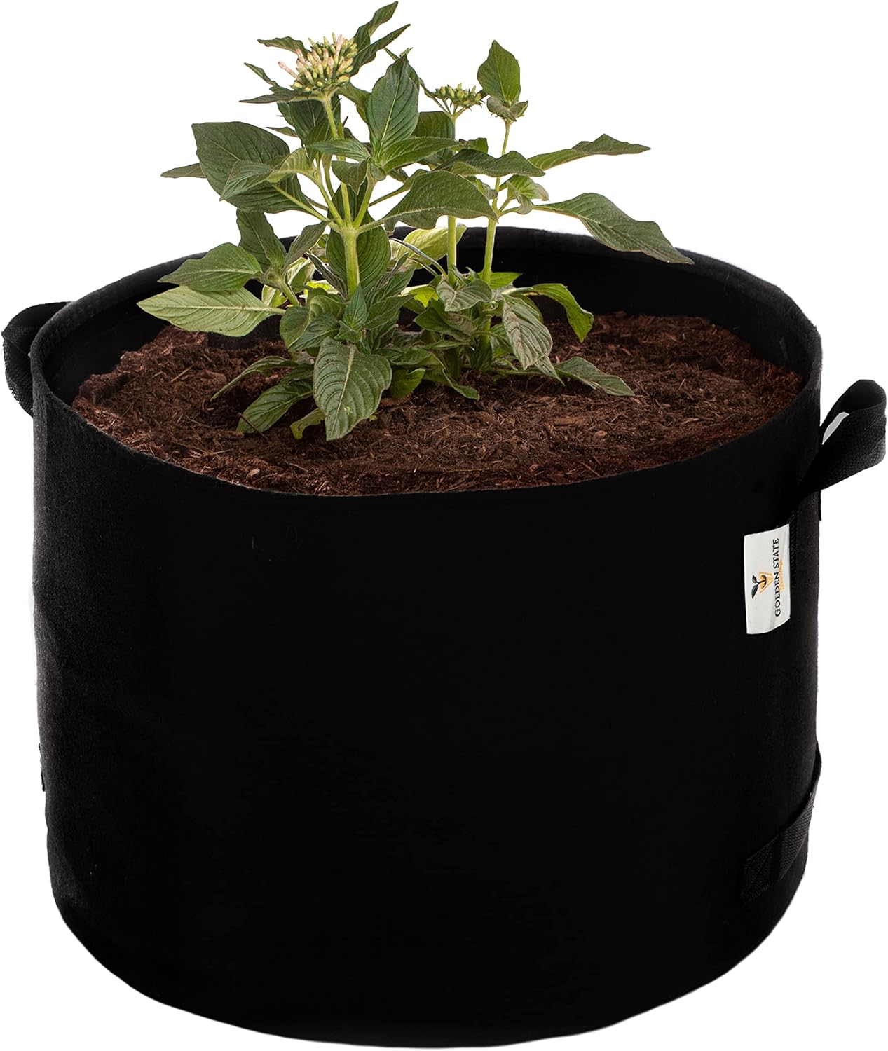 Grow Bags: 5-Pack (Size: 25 Gallon): 300gsm Black Felt Fabric, Biodegradable and eco-Friendly Material. (Handles + Dumping Handles-pat.Pend).