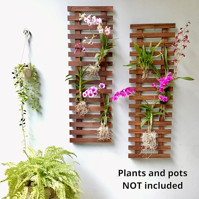 ShopLaLa Wall Planter-2 Pack Wooden Hanging Planters for Indoor Plants,Wall Mounted Plant Stand Ladder Outdoor Vertical Garden Balcony Unique Live Orchid Planter Large Dark Brown Wall Decorations