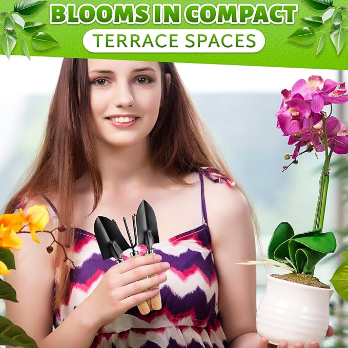 Mini Garden Tools - 3Pcs Indoor Plant Tools Set Indoor Gardening Tools Small Garden Shovel Mni Rake Small Gardening Tools Set Hand Rake Gardening Spade Gardening Supplies Indoor Garden Trowels