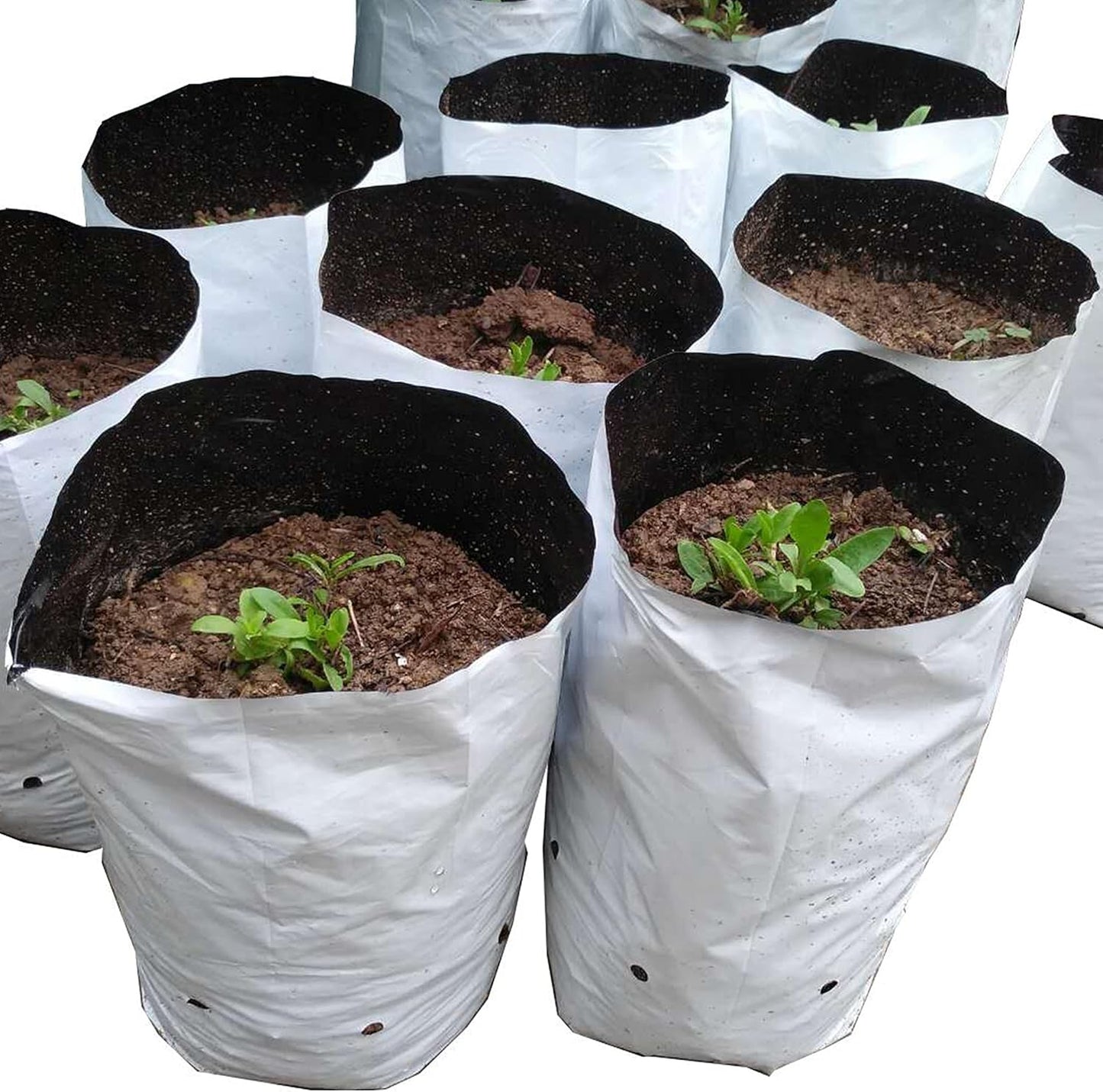HFS(R Poly Grow Bag Planters Panda Film Black and White for Nursery Horticulture 3 Gallon - 50 PC