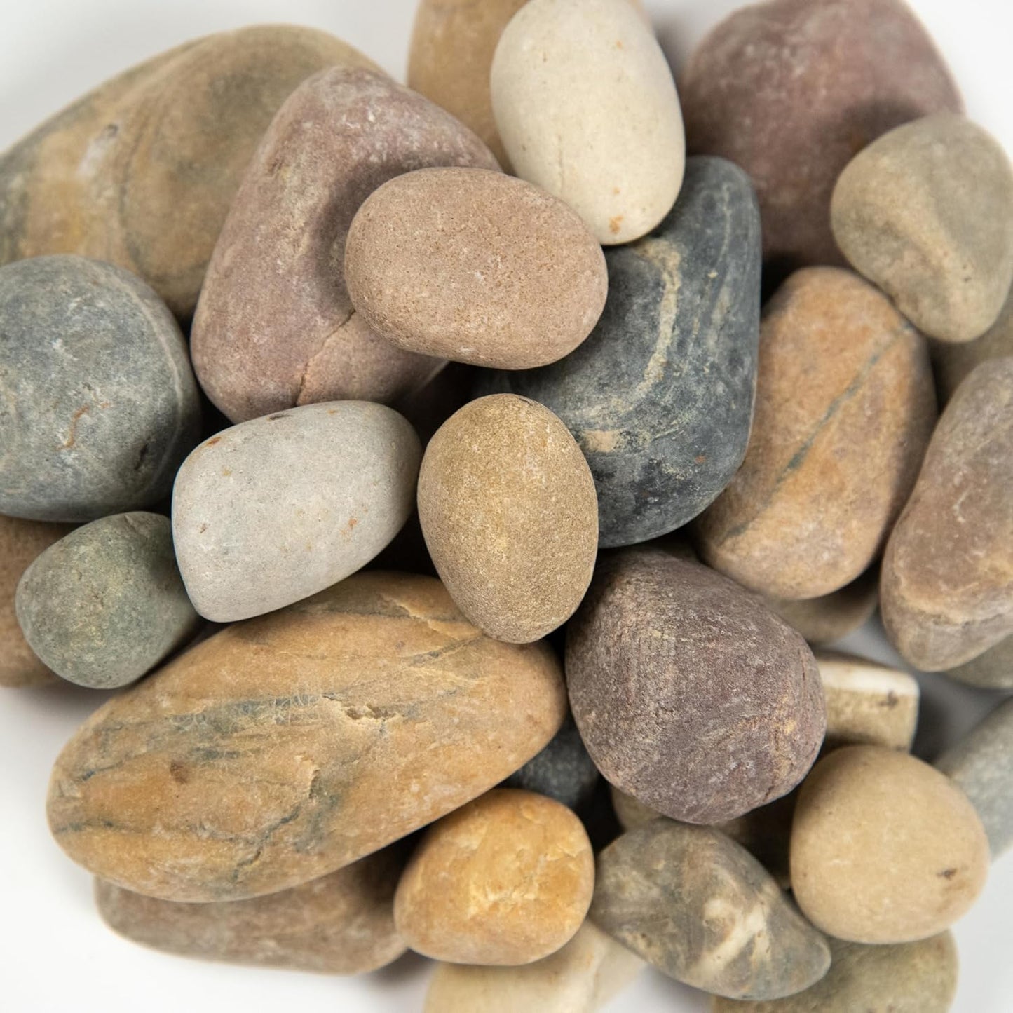 MSI Amazon Decorative Polished Multicolor Pebbles, 0.4 inch - 1.2 inch, 40 lb. Bag