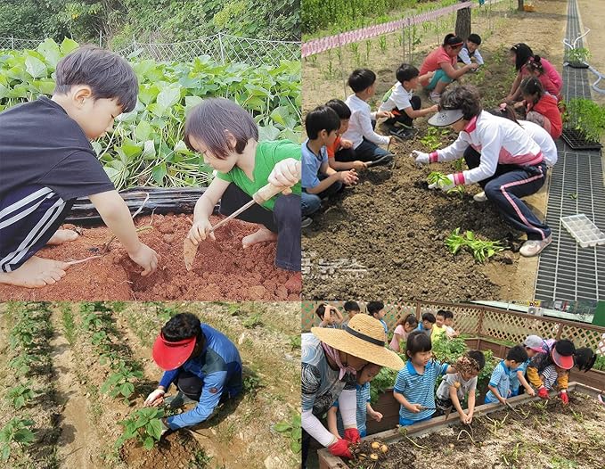 SERENITA Lawn Grass Edger Hoe Garden Tool Weeding Tools for Garden. Homi Korean Plow Easy Digger with Blade. Less Effort Easy Farming Tool 2pcs