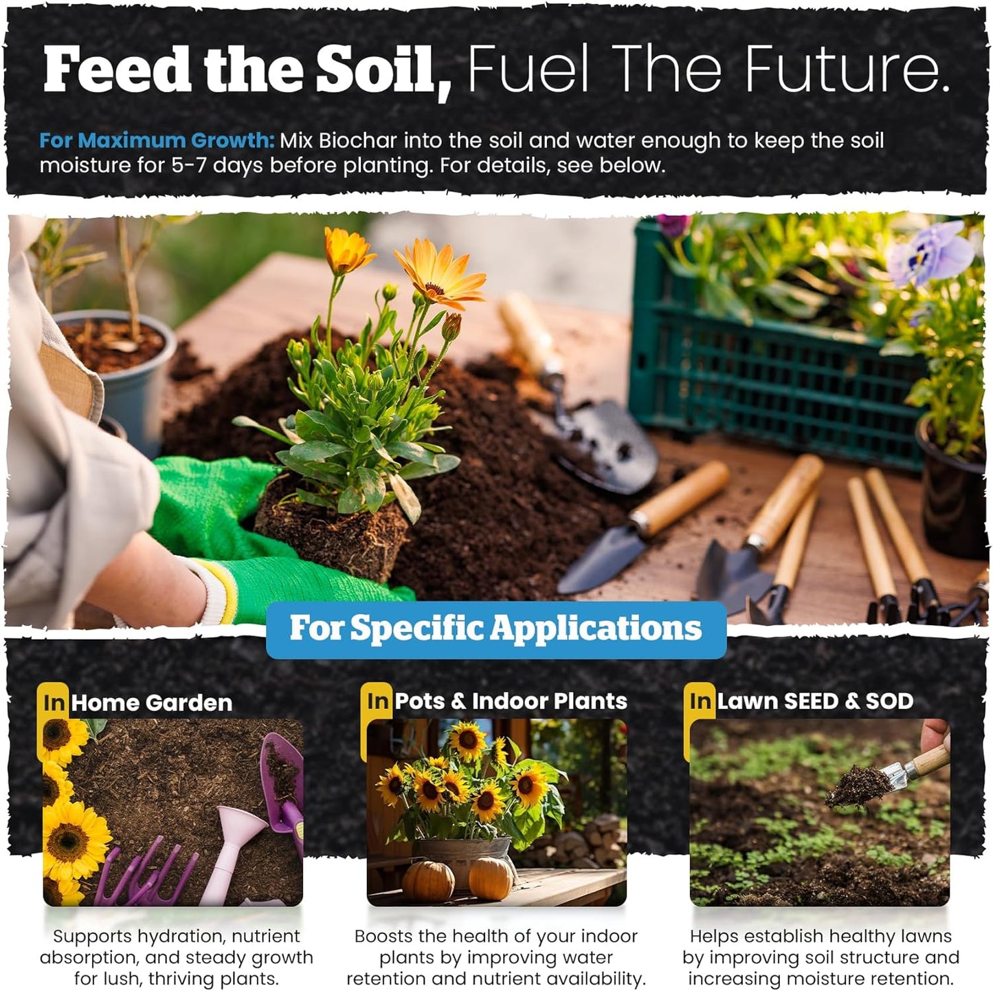 Wakefield Premium Indoor Potting Soil - Professional Biochar & Probiotics with CarbonBoost Technology - Ultimate Organic Potting Mix for Indoor & Outdoor Plants, Succulents & House Plants - 2Quarts