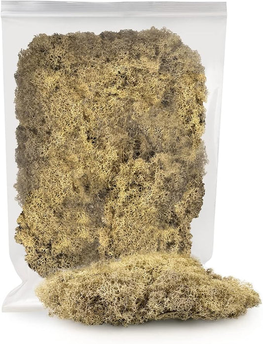Premium Preserved Reindeer Moss for Potted Plants, Terrariums, Fairy Gardens, Arts and Crafts or Floral Decor Design in Natural (3 Quart Bag)