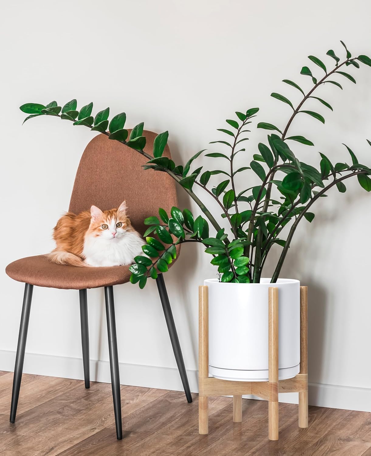 D'vine Dev Ceramic Planter with Natural Stand - 10 Inch Modern Round Flower Pot with Wood Planter Holder, White, 55-B-K-1