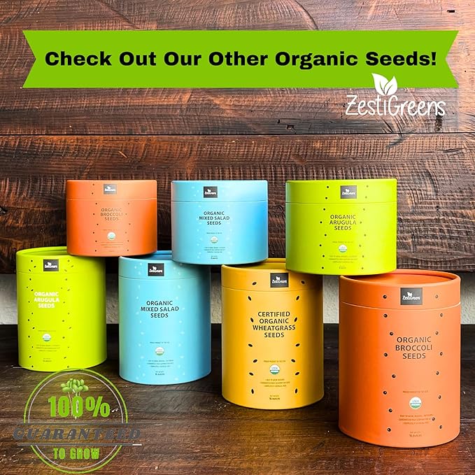 Certified Organic Wheatgrass Seeds – 12,500+ Non-GMO USDA Cat Grass Seeds in Food-Grade Container with Lid for Easy Scooping & Freshness