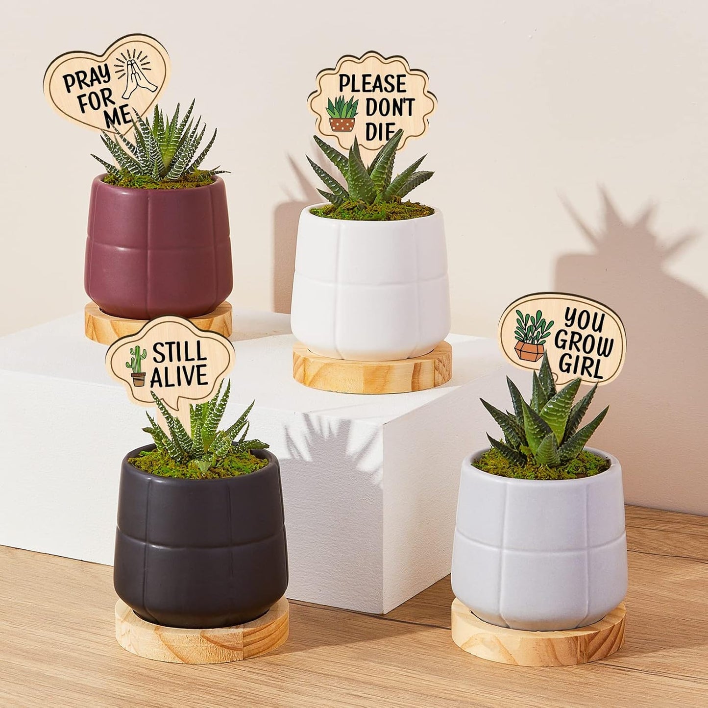 Huray Rayho Funny Wooden Plant Markers for Succulent Flowers Greenery Plants Tags 15-Pack Waterproof Wood Plant Labels Outdoor Indoor Patio Supplies Garden Stakes for Potted Plant Novelty Gifts