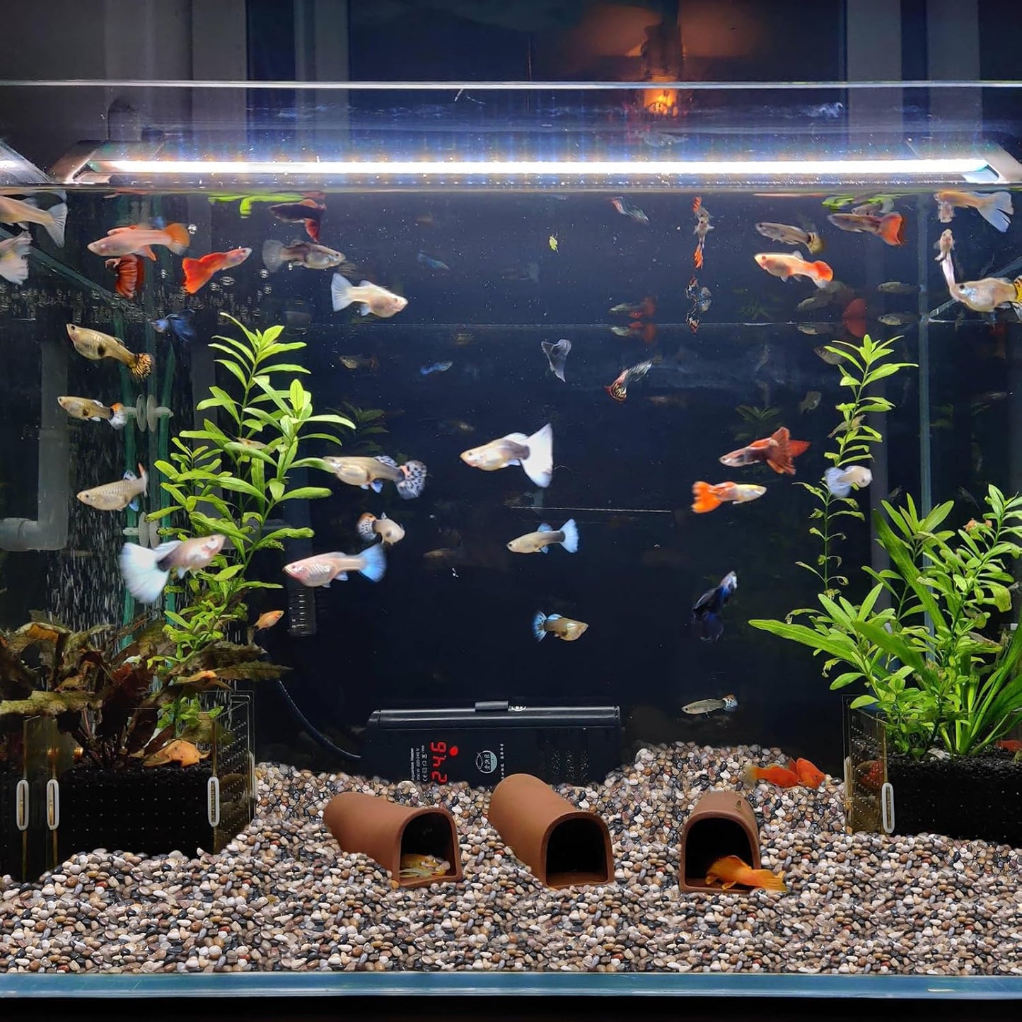 Calofulston 5lb Pebbles, 3/8 Inch Small Pebbles for Indoor Plants, Aquariums, Bamboo, Succulent, Vase, Outdoor Landscaping, Decorative Polished Plant Rocks for Pots Indoor, Mixed Color