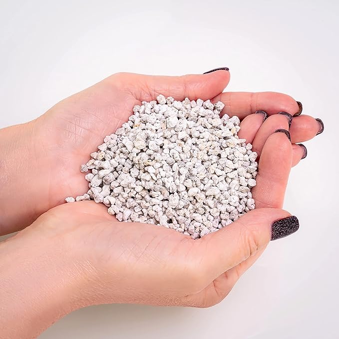 Organic Perlite - Medium/Fine Grade (1 Quart Bag) Horticultural Soil Amendment for Indoor & Outdoor Container Plants for Drainage Management and Enhanced Growth