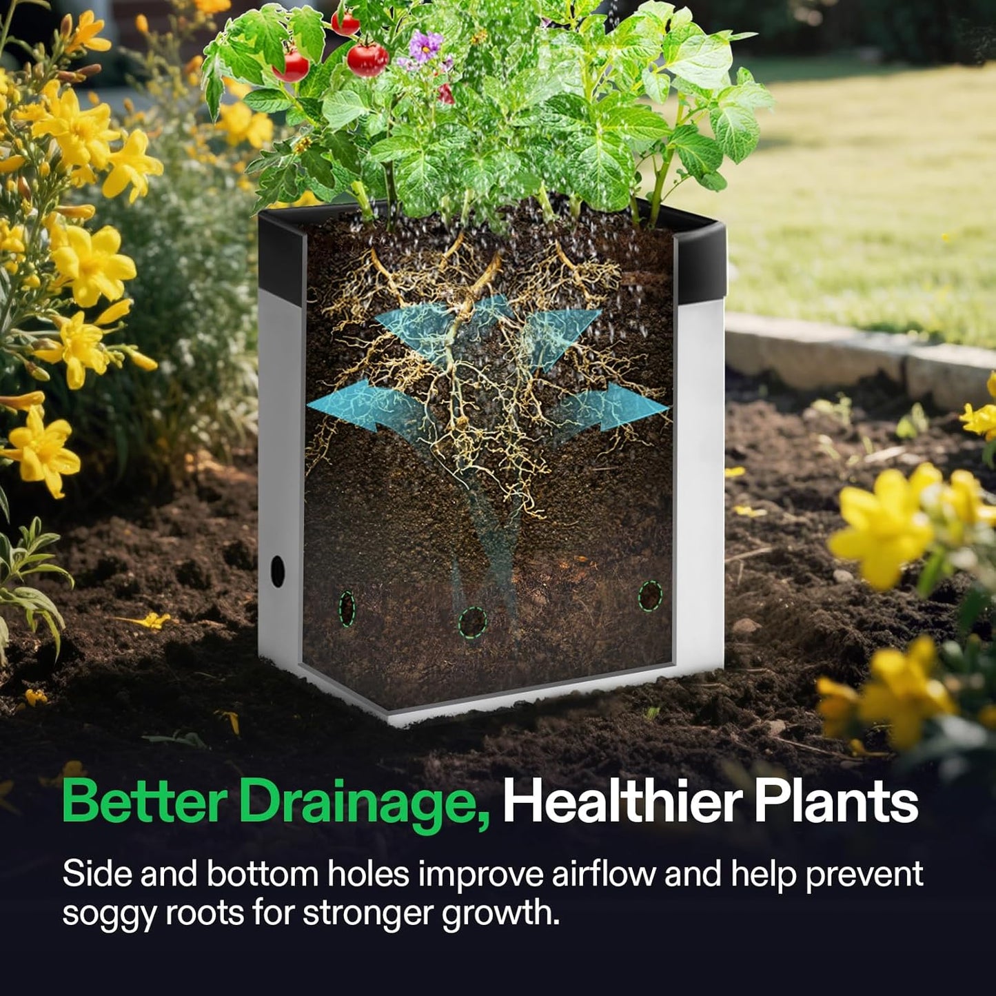 VIVOSUN 50-Pack 2 Gallon Grow Bags for Plants, Black-and-White Panda Film Containers Thick Plastic Bag for Potting Seedlings, and Rooting