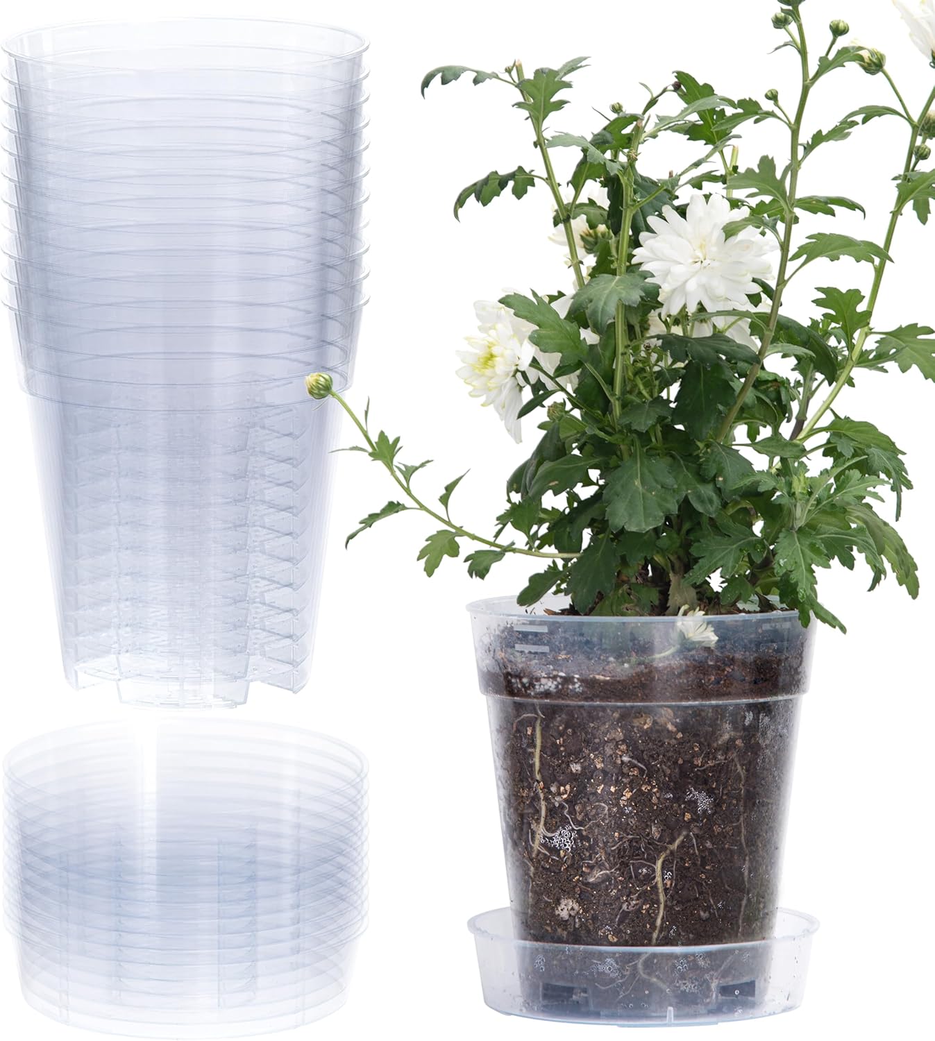 1 Gallon 6 Inch Clear Plastic Plant Pot with Drainage Holes, Interlocking & Detachable Tray - Deep Saucer - Durable BPA-Free Plastic, Transparent Design, Raised Base for Airflow, Set of 12, 92-X-B-6