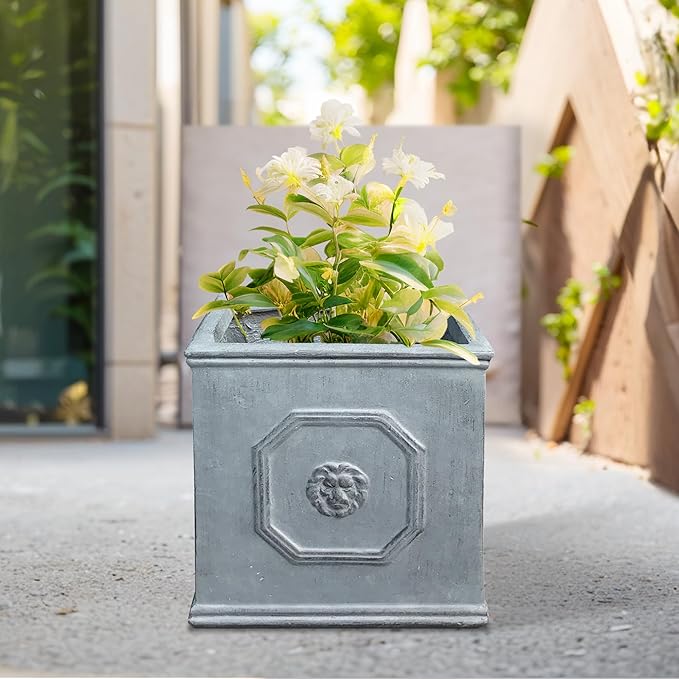 Kante Square Lion Head Concrete Planter, Classic English Style Plant Pot with Drainage Hole and Rubber Plug for Indoor Outdoor Garden Patio Home, 12.6"x12.6"x12.6" Gravel Gray