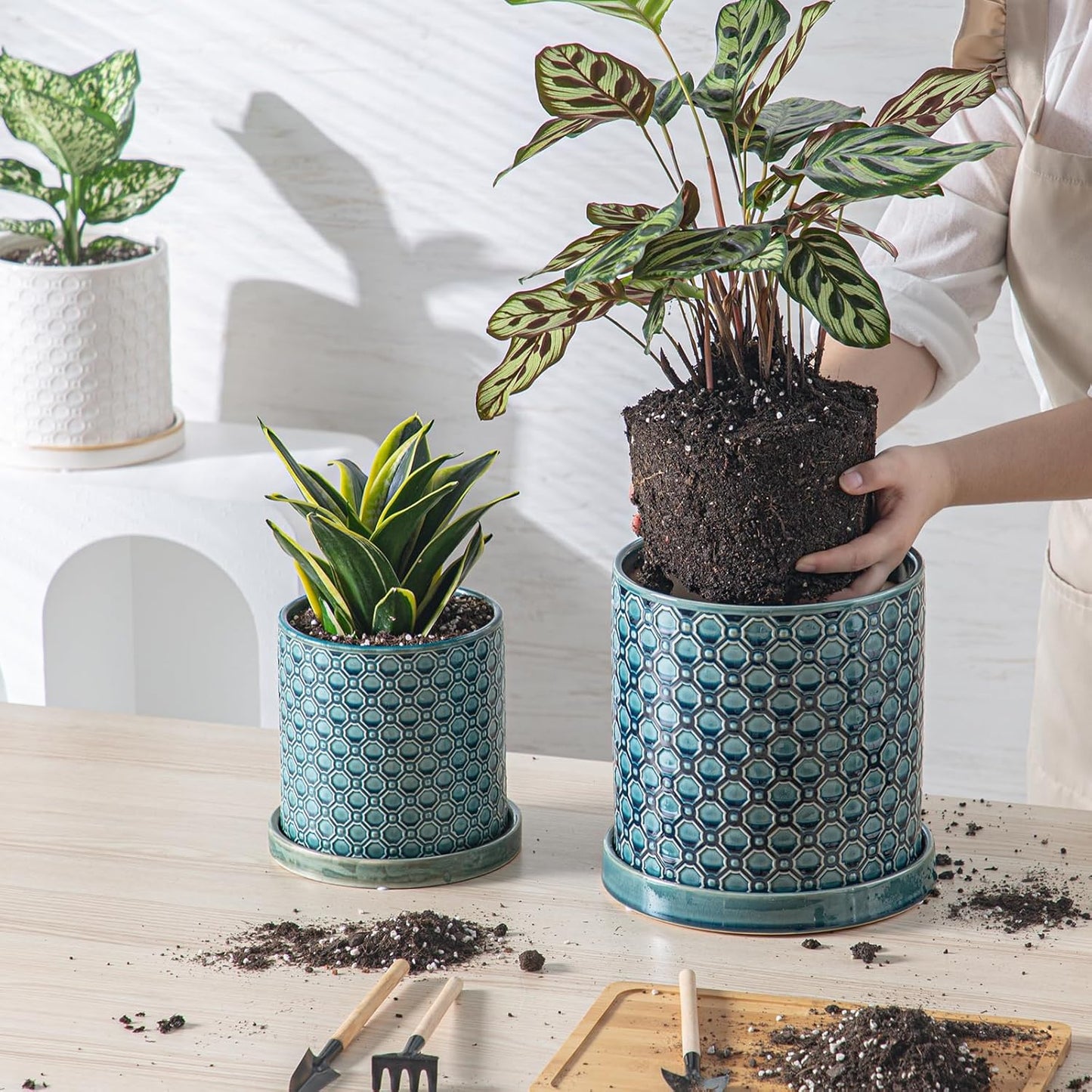 6 Inch Plant Pot: Ceramic Planter with Drainage Hole & Saucer Indoor Outdoor Plants - Cylinder Round Flower Pot for Home Office - Modern Decorative - Small Blue