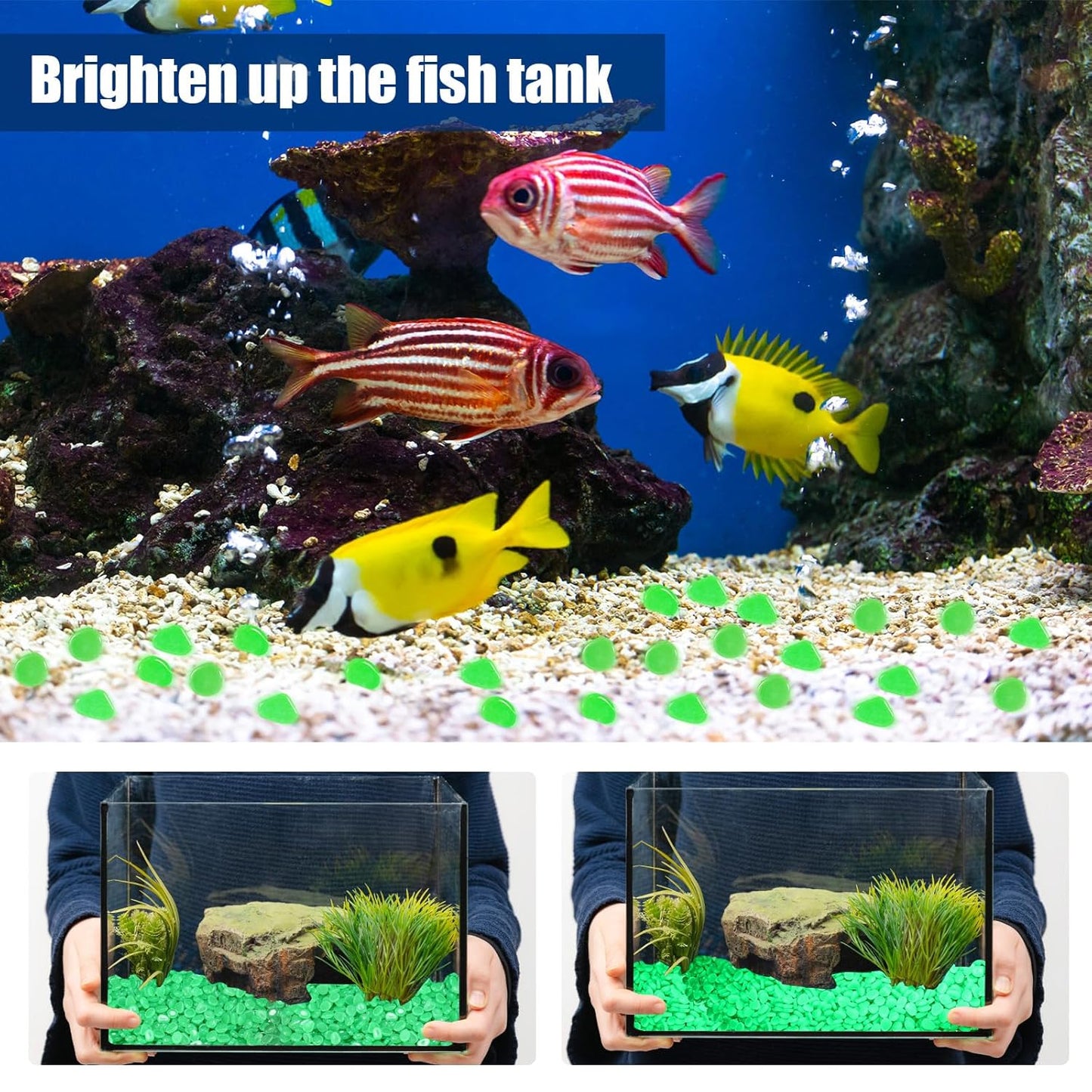 Sasylvia 12000 Pcs Glow in The Dark Rocks Glow in The Dark Stones Glowing Rocks for Garden Outdoor Glowing Fish Tank Pebbles Luminous Stone for Outdoor Yard Patio Aquarium Landscaping (Green)