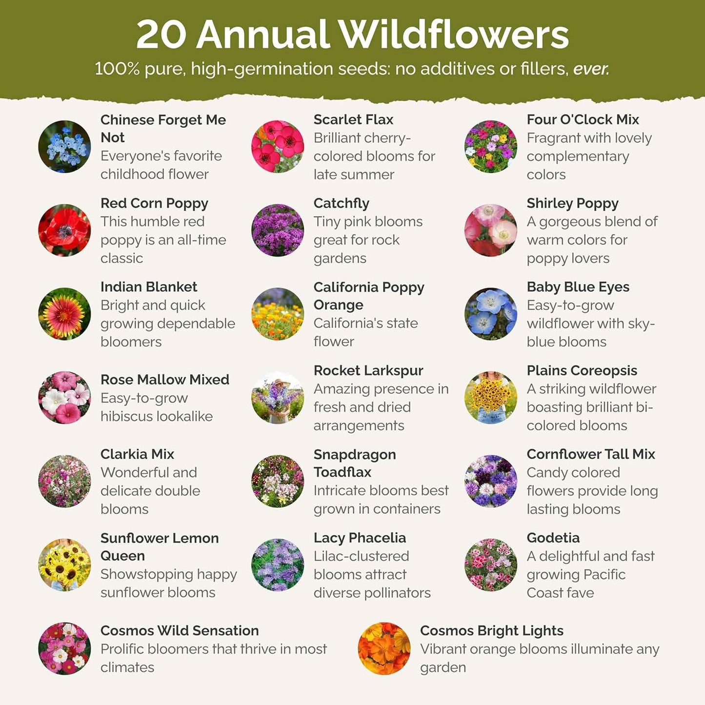 Eden Brothers All Annual Wildflower Mixed Seeds for Planting, 25 lb, 12,00,000+ Seeds with Sunflower, Indian Blanket, Scarlet Flax, Attracts Pollinators, Plant in Spring, Zones 3, 4, 5, 6, 7, 8, 9, 10