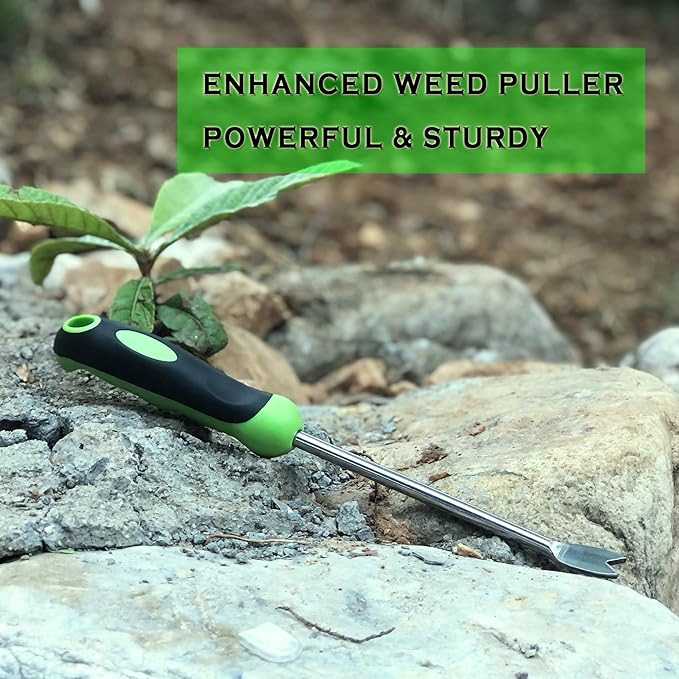 SHANFEEK Dandelion Puller with V-Shaped Shovel Gardening Hand Tools 13-Inch Weed Remover Tool for Garden Yard Weed Puller with Rubber Non-Slip Handle (Green)