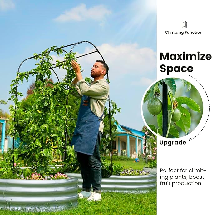 KING BIRD Raised Garden Bed with Arched Trellis Galvanized Planter Garden Box Outdoor for Gardening, Climbing Vegetables, Flowers 5.9x2.95x0.98 Ft 2PCS, Silver