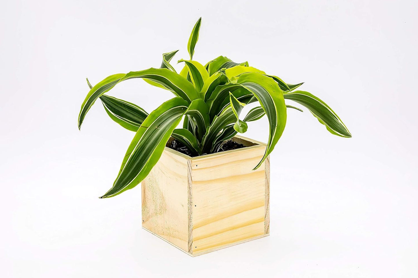 Wood Planter Box, 5 Inch Square, Rose Wood, Plastic Liner, Garden Centerpiece Display, Wedding Flowers Holder, Home and Venue Decor (5x5 Set of 4, Rose Wood)