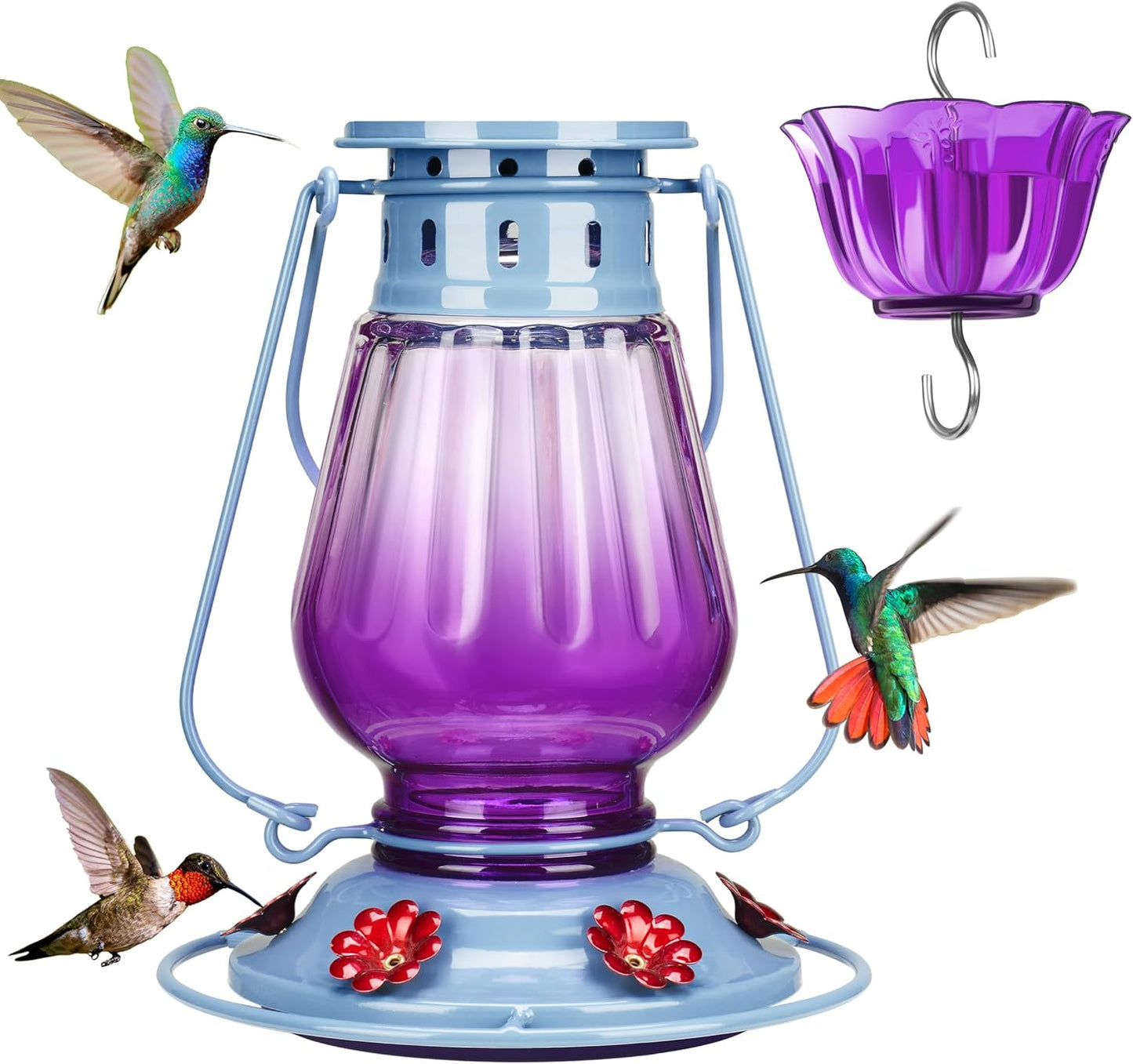 Kingsyard Glass Hummingbird Feeder for Outdoors Hanging - Vintage Lantern Style Leak-Proof Humming Bird Nectar Feeder with 6 Feeding Ports & Ant Moat for Outdoor Garden Decor, 24 Ounce, Purple