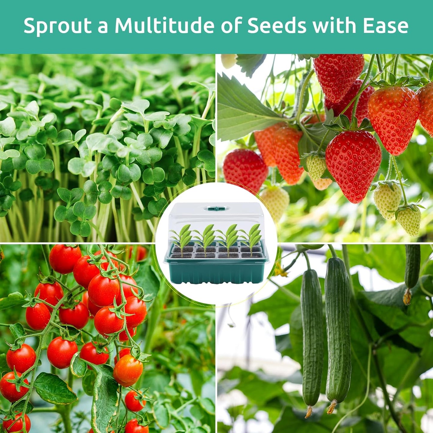 Seedfactor 7 Packs Seed Starter Tray, 84 Separate Cells Seedling Starter Trays Kit with Humidity Dome and Base Indoor Greenhouse Mini Propagator, Reusable Seedling Tray for Plants Indoor-Clear