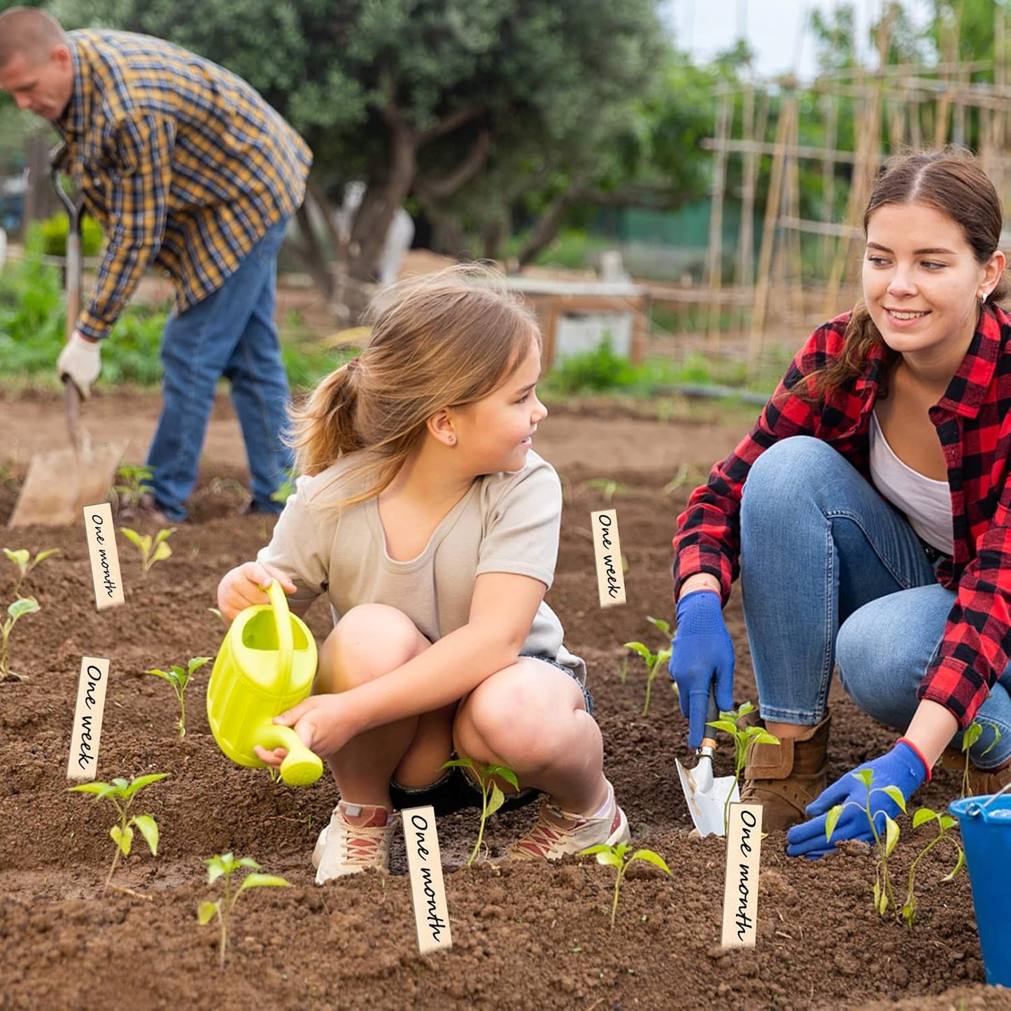 Zkptops 100Pcs Wooden Plant Labels Plant Tags 6 Inch Garden Plants Markers Waterproof Seed Labels Markers Sticks Outdoor Garden Label Stakes Sign Wooden Plants Name Tags for Seedling Vegetables Flower