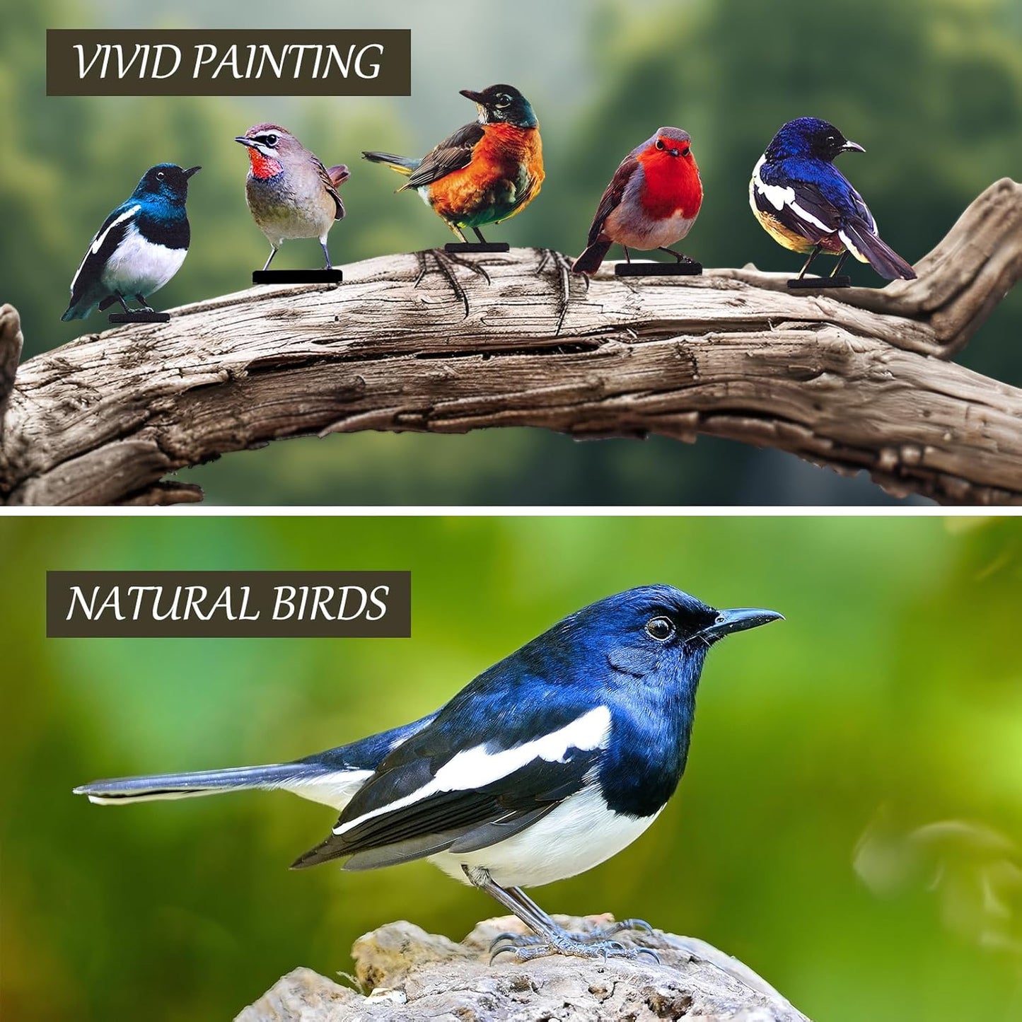 HUYIENO 5PCS Vivid Metal Birds Fence Decor Color Painted Outdoor Garden Natural Bird 2D Sculptures for Outdoor Fences, Patio, Garden and Bird Lovers