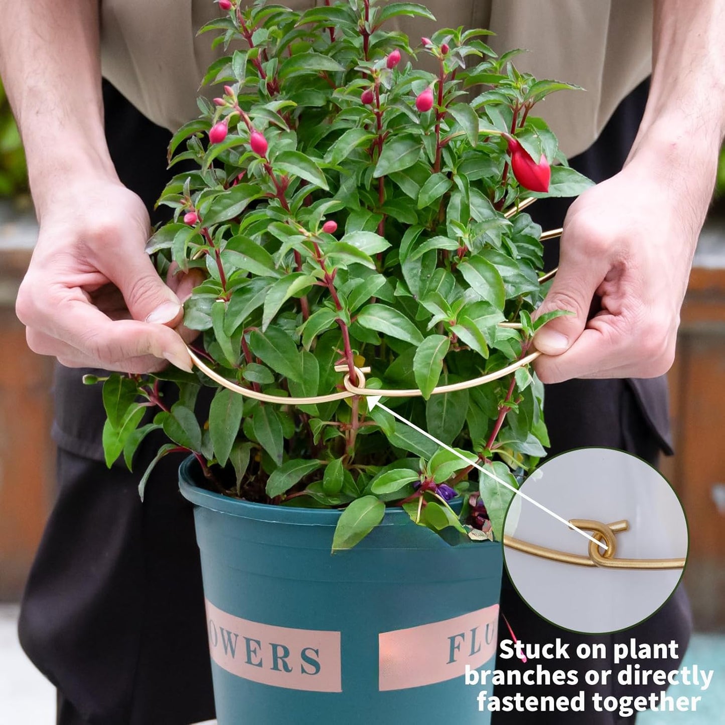 Monstera Plant Support Stem Stabilizer 9 * 7.6 inches- Durable Leaf Holder & Adjustable Stake for Fishbone Cactus, Easy to Install Garden Tool for Optimal Growth in Indoor Plants