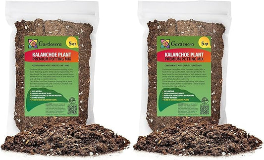 Kalanchoe Plant Premium Potting Mix - 10 Quart - Optimize Growth with Natural Ingredients (2 Bags of 5 Quart)