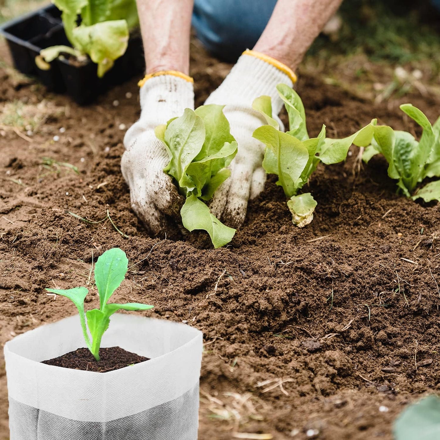 200Pcs Nursery Growing Bags, 5.8"x5" Small Grow Bag for Plants, Fabric Plant pots, Potato, Flower, Tomato Solid Seed Starter