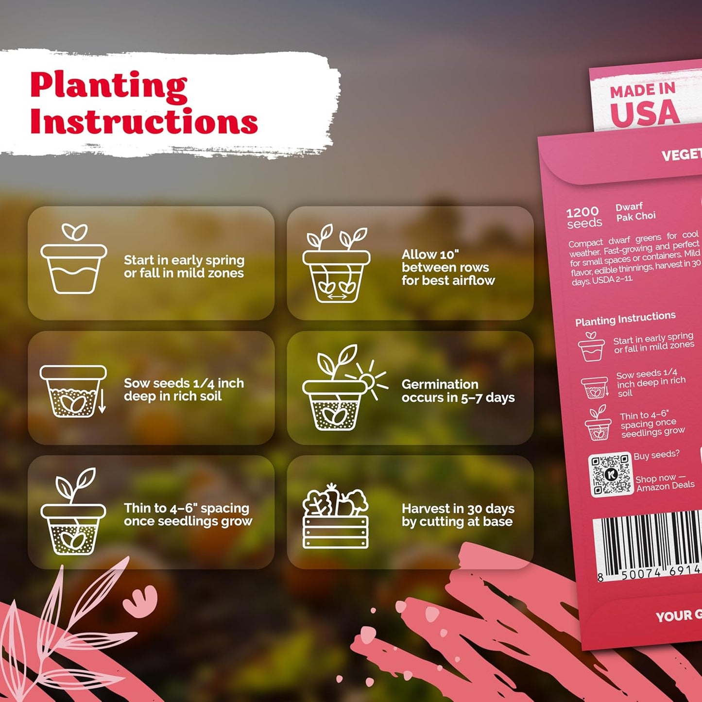 KVITER 1,200 Baby Bok Choy Seeds for Planting (Brassica rapa subsp. chinensis) – Heirloom Extra Dwarf Pak Choi, White Stem Chinese Variety – Organic Cabbage Seeds to Plant in Vegetable Garden