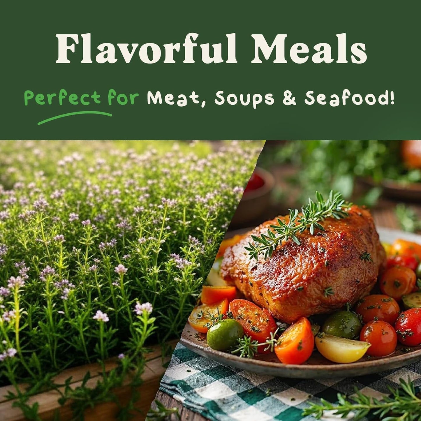 Seedboy Organic Thyme Seeds for Planting Indoor and Outdoor, Non-GMO and USDA Certified Herb Seed Packet for Hydroponic Garden Indoor or Planting Outdoors (Thyme)