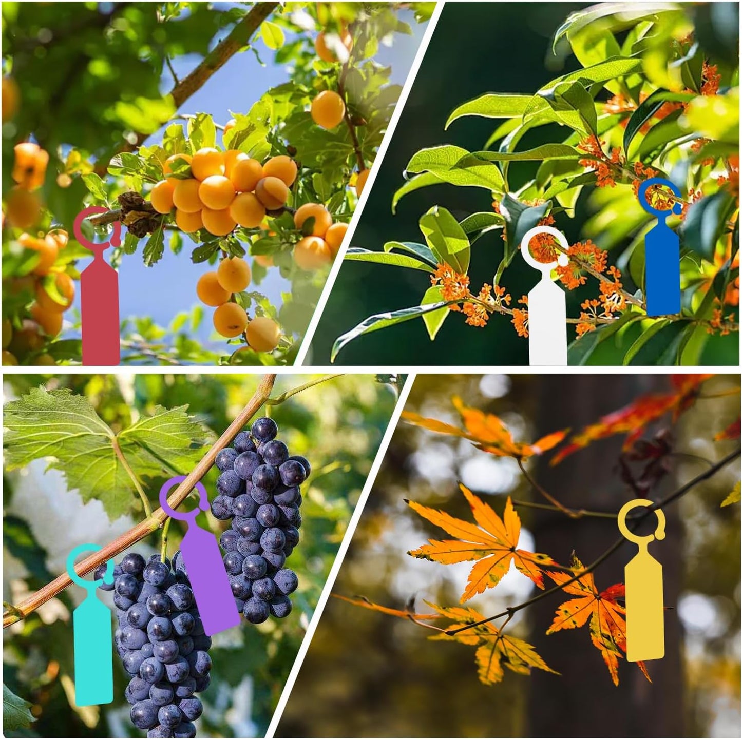 Plant Labels Yuanling 100Pcs Plastic Waterproof Plant Tree Tags Nursery Garden Markers for Indoor Outdoor Gardening Plants Vegetables Flowers Potted (Mixed 10 Colors with 1 Marker Pen)