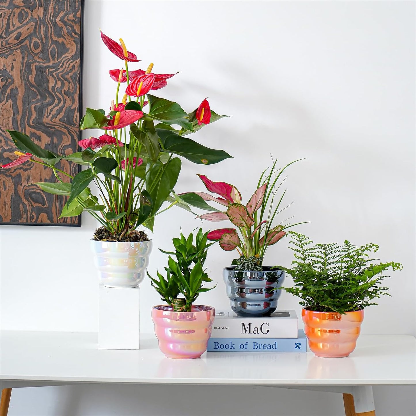 Pots for Indoor Plants, Rainbow Pearl Glaze Planters 2 Pieces with Drainage Hole, 6 Inch Round Modern Garden Pots for Flower Snakes Succulents, White and Pink