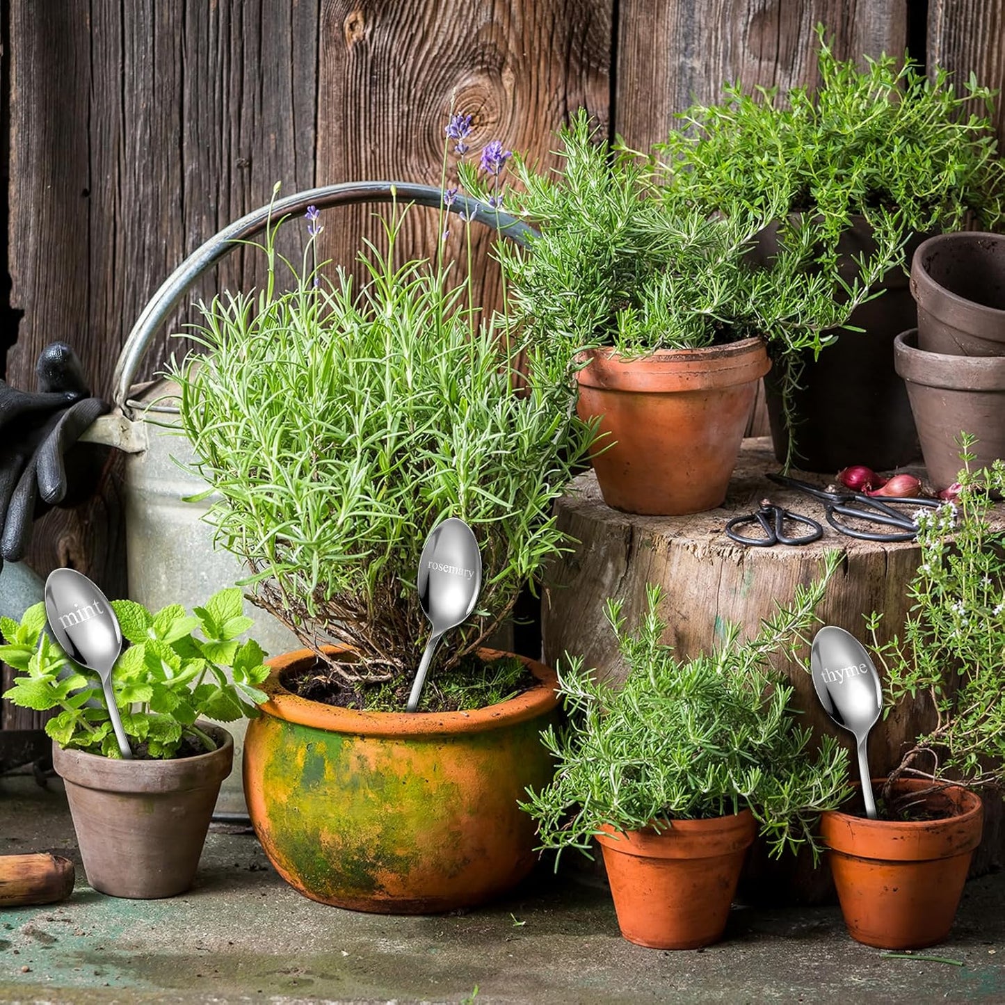 Bucherry 12 Pcs Metal Plant Label Signs, Spoon Shape Planted Herb Markers Garden Labels with Herb Names for Nursery Indoor Outdoor Garden Decoration, Stainless Steel, 12 Styles, 6.8" x 1.4"