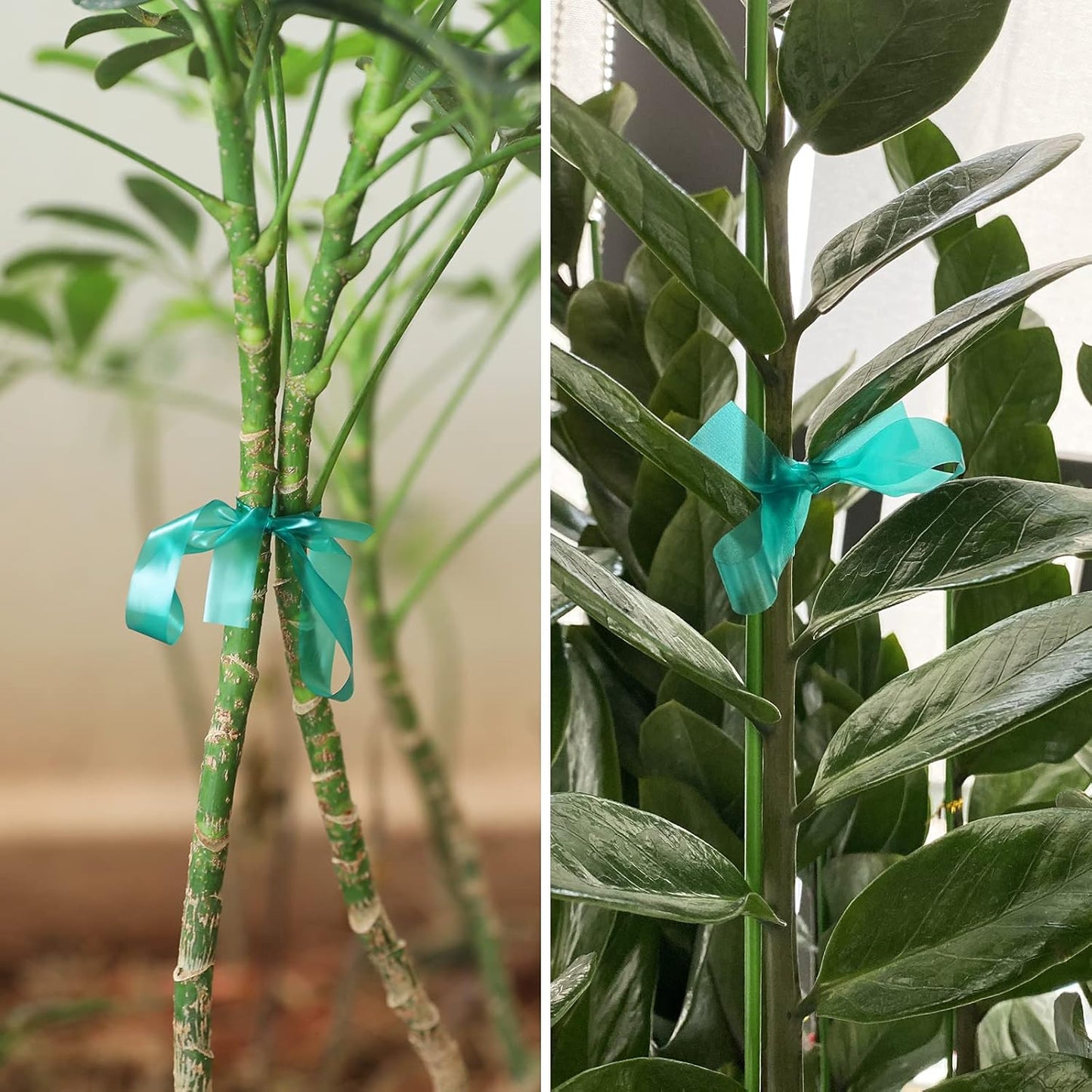 KINGLAKE GARDEN Stretch Tie Tape Roll - 2 Rolls Total 300 Feet 1/2" Green Garden Tape Plant Tapes Plant Garden Tie for Climbing Plants Branches Flowers