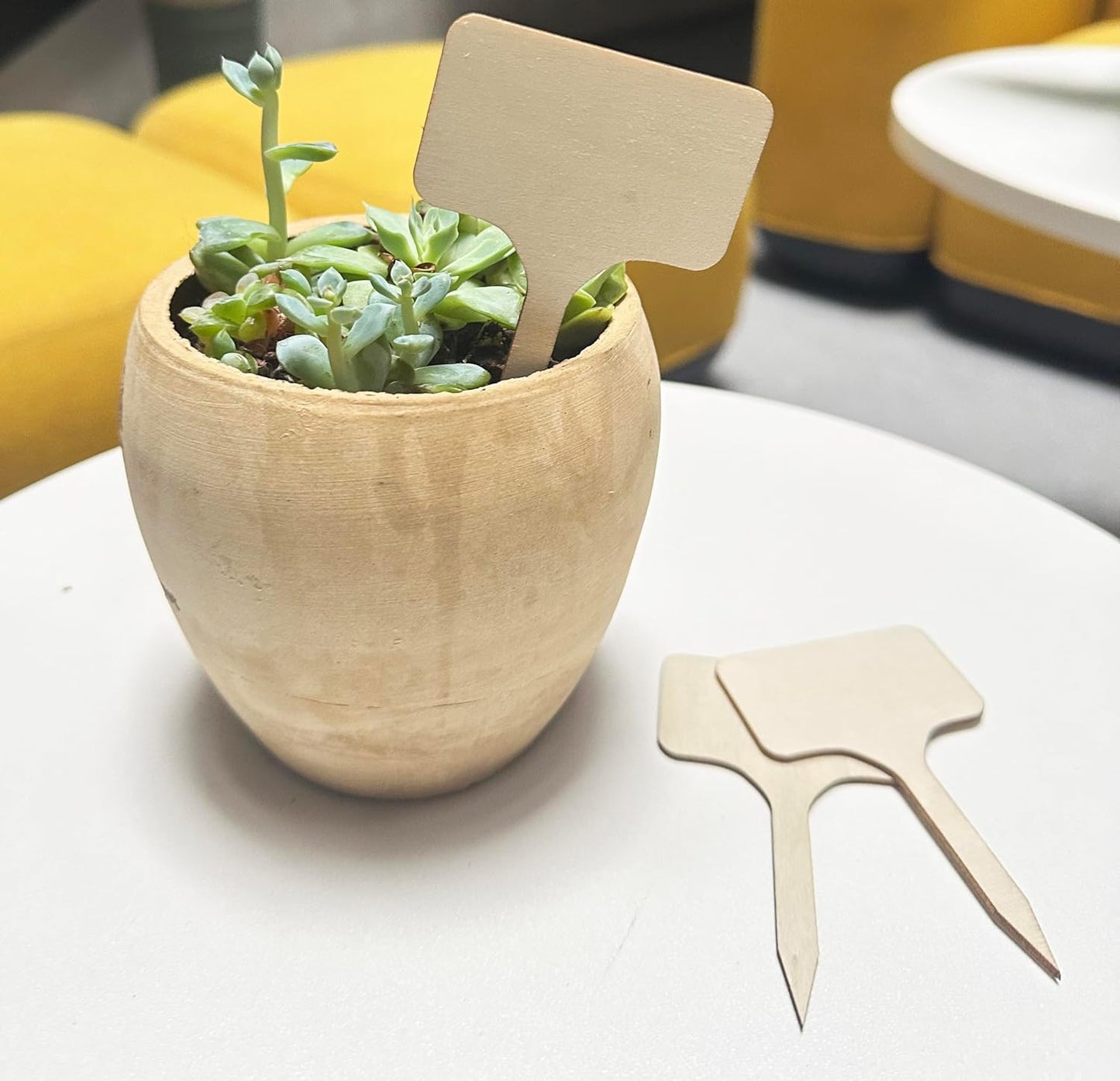 100 Pcs Wood Plant Labels, Natural Wooden Plant Marker Garden Sign Tags, T-Type Garden Markers for Succulents, Herbs, Seedlings, Potted, Flowers, Vegetables (T-Type)